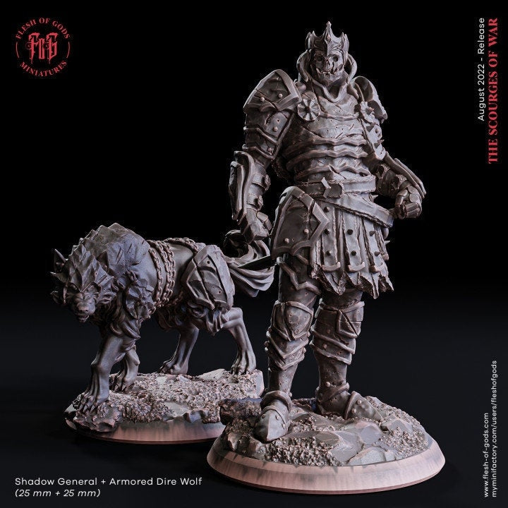 Figurine Général des ombres Flesh of Gods Impression 3D