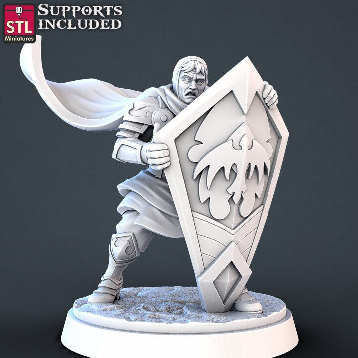 Figurine Heros de DND STL MINIATURES Impression 3D