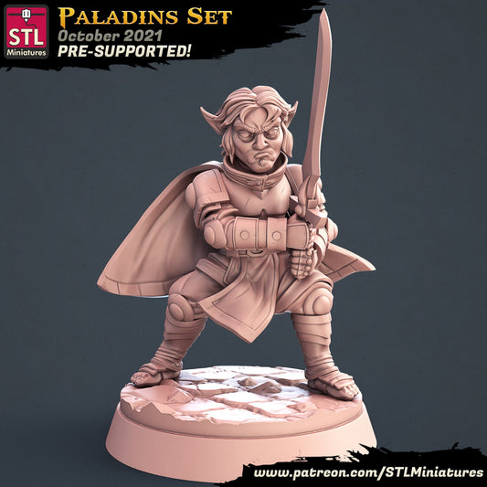 Figurine Paladin Halfelin STL Miniatures Impression 3D