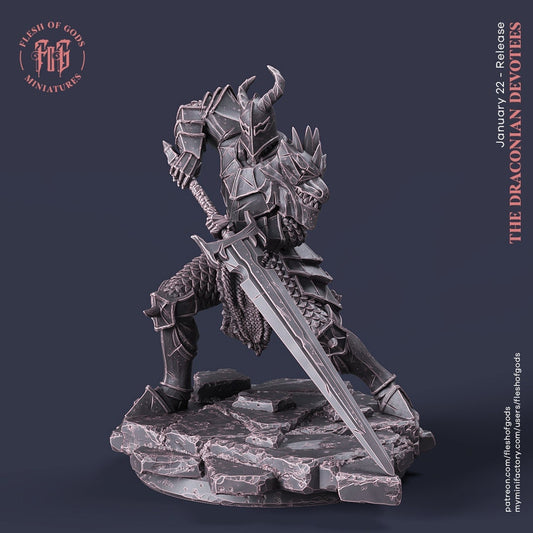 Figurine Chevalier Draconique Flesh of Gods