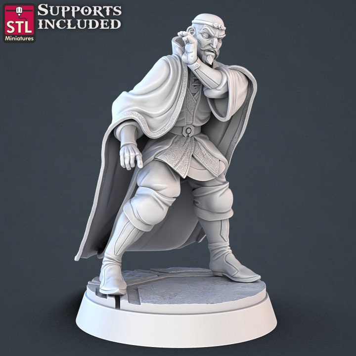Figurine JDR PNJ Cour Royale STL Miniatures