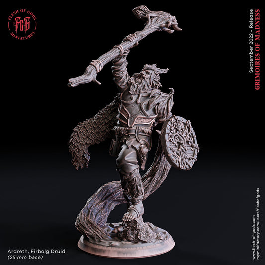 Figurine Druide Firbolg Flesh of Gods Impression 3D