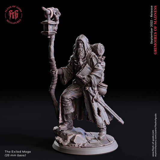 Figurine Vieux Magicien Flesh of Gods Impression 3D