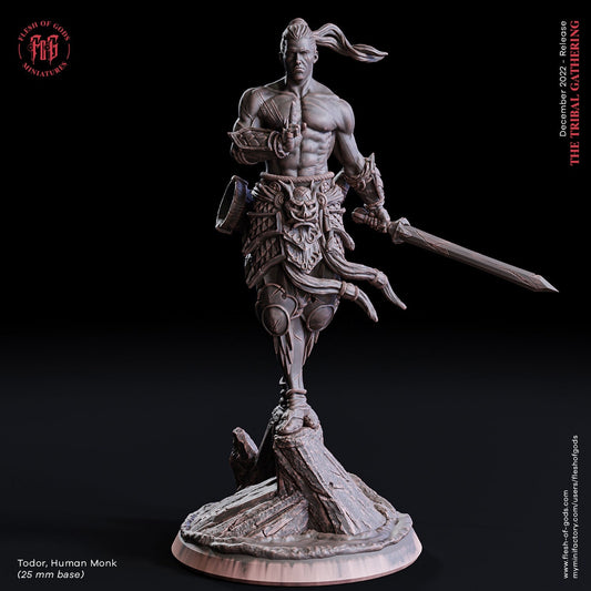 Figurine Homme Moine Flesh Of Gods Impression 3D