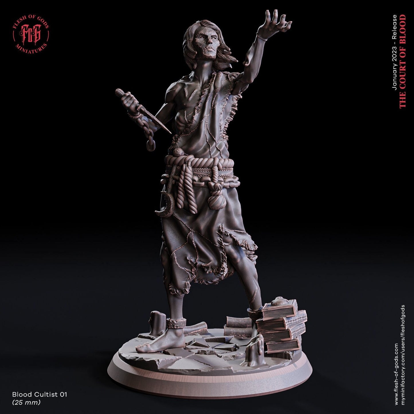 Figurine JDR Cultiste de SANG 01 Flesh Of Gods Impression 3D