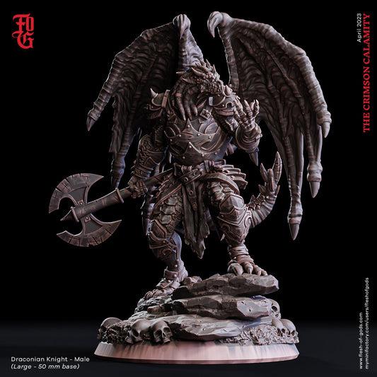 Figurine jdr Abishai Guerrier Flesh Of Gods Impression 3D