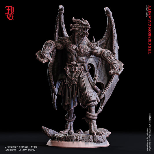 Figurine JDR Guerrier Drakeide Flesh Of Gods Impression 3D