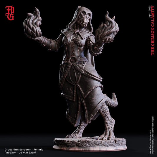 Figurine JDR Ensorceleuse Draconique Flesh Of Gods Impression 3D