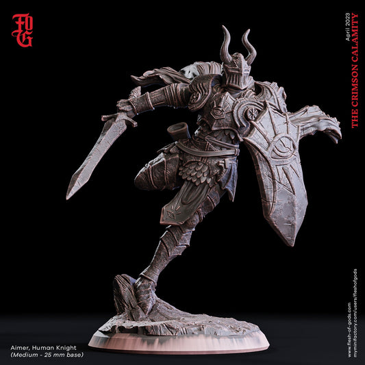 Figurine JDR Paladin 2 Flesh Of Gods Impression 3D