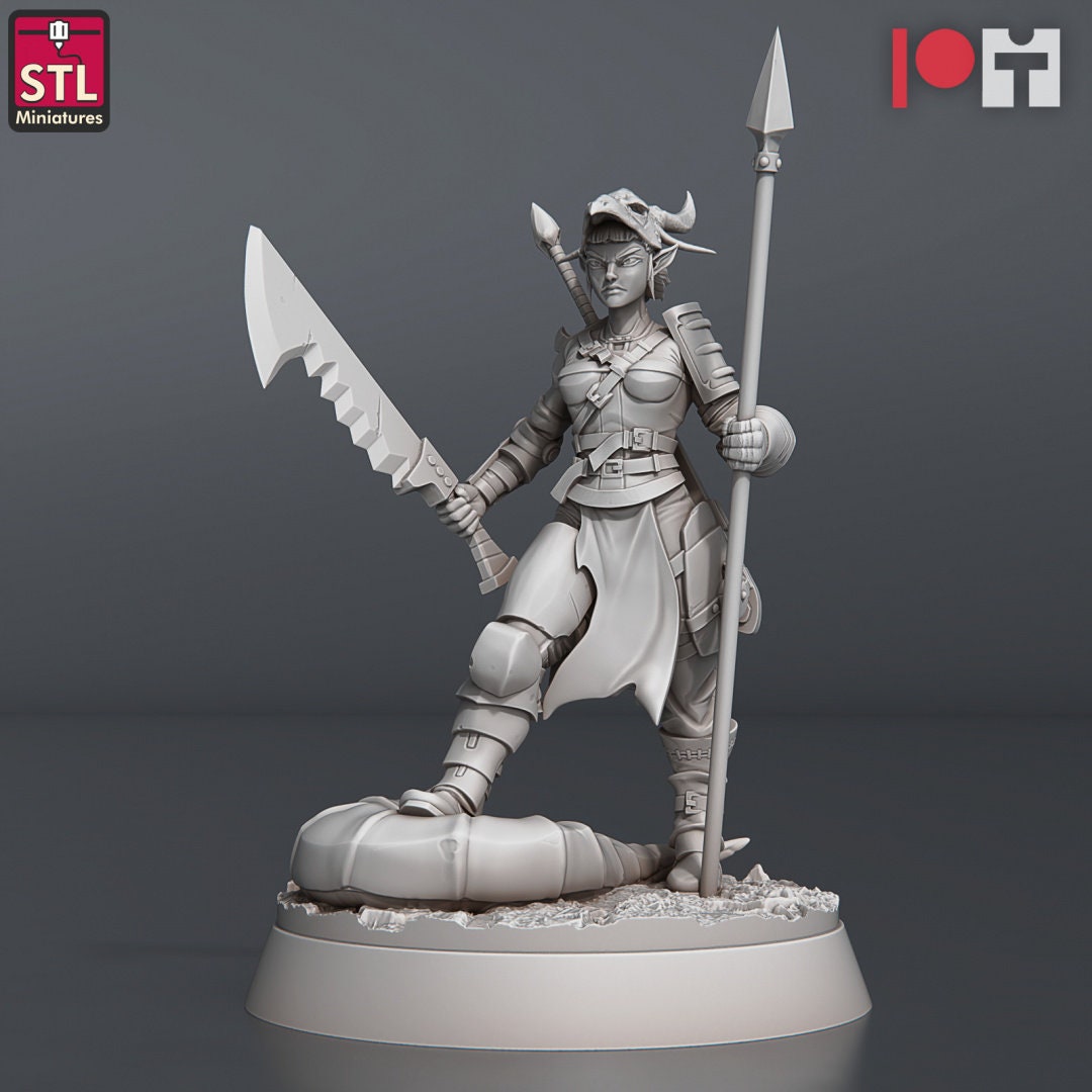 Pack JDR Chasseurs De Dragons STL Miniatures Impression 3D