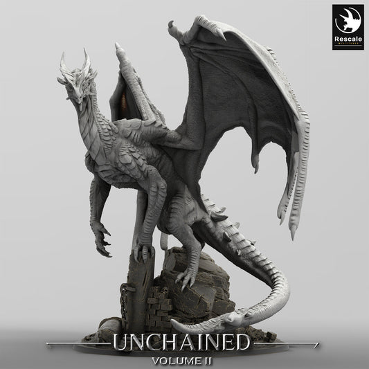 Figurine JDR Dragon Blanc / Argent Ancien Xeldranth Rescale Miniatures Impression 3D