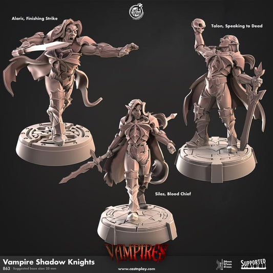 Figurine JDR Pack Chevalier Vampire de l'Ombre Cast N Play Impression 3D