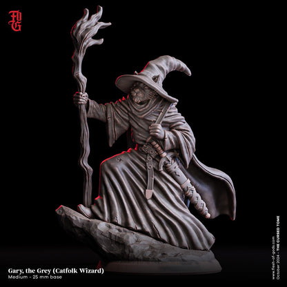 Figurine JDR Tabaxi Magicien Flesh Of Gods Impression 3D