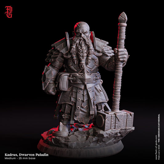 Figurine JDR Nain Paladin Clerc Flesh Of Gods Impression 3D