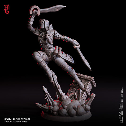 Figurine JDR Assasin Ember Flesh Of Gods Impression 3D