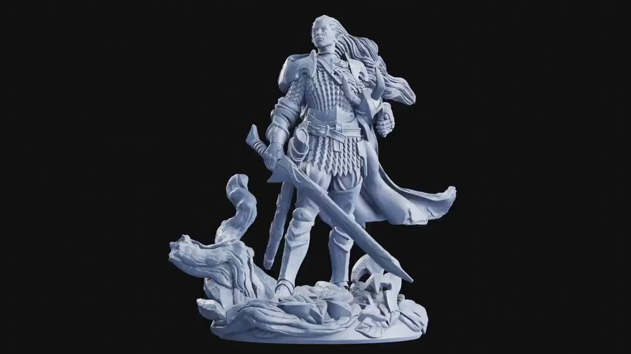 Figurine jdr Elfe Paladin Flesh Of Gods Impression 3D