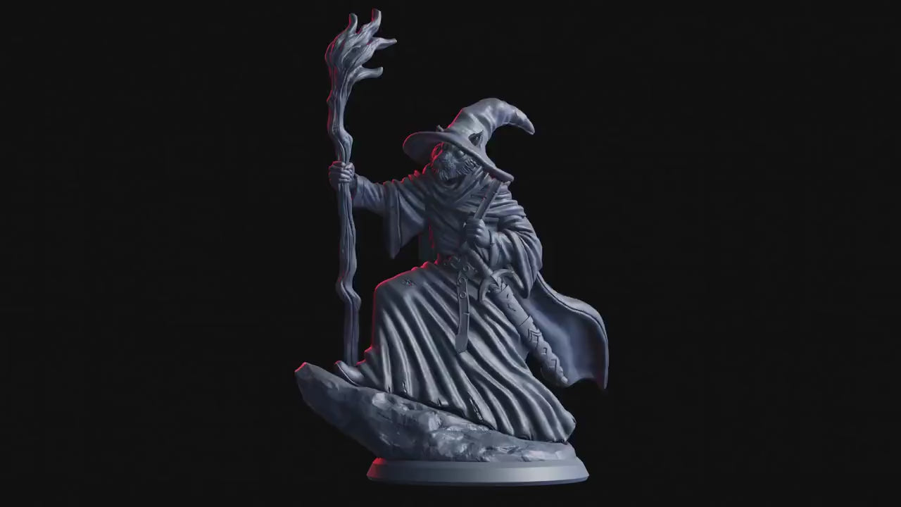 Figurine JDR Tabaxi Magicien Flesh Of Gods Impression 3D